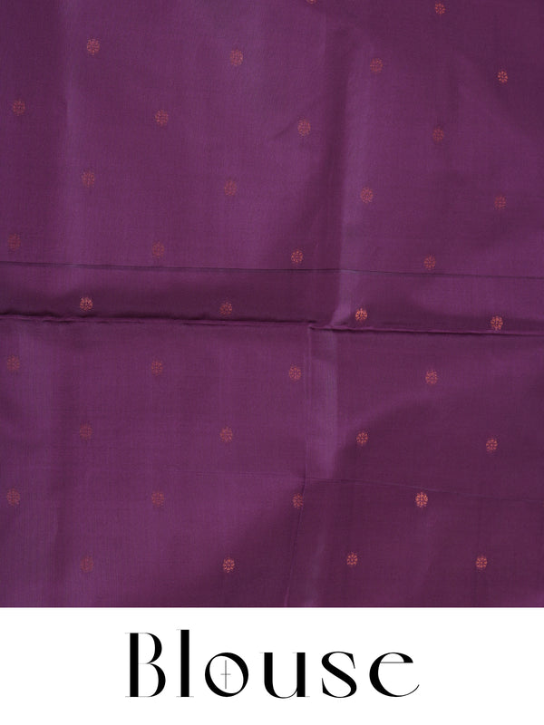 Silver with Purple Fancy Silk Saree