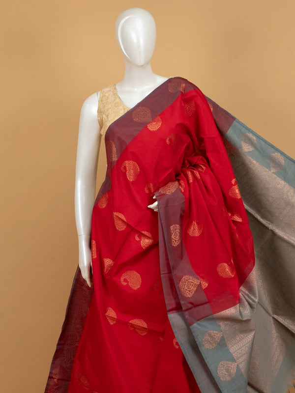 Red silk cotton saree with gold zari paisley buttas and contrast grey zari border and pallu