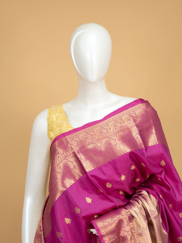 Magenta Kanchi semi silk saree with gold zari buttas, contrast zari border and cream-gold tissue pallu
