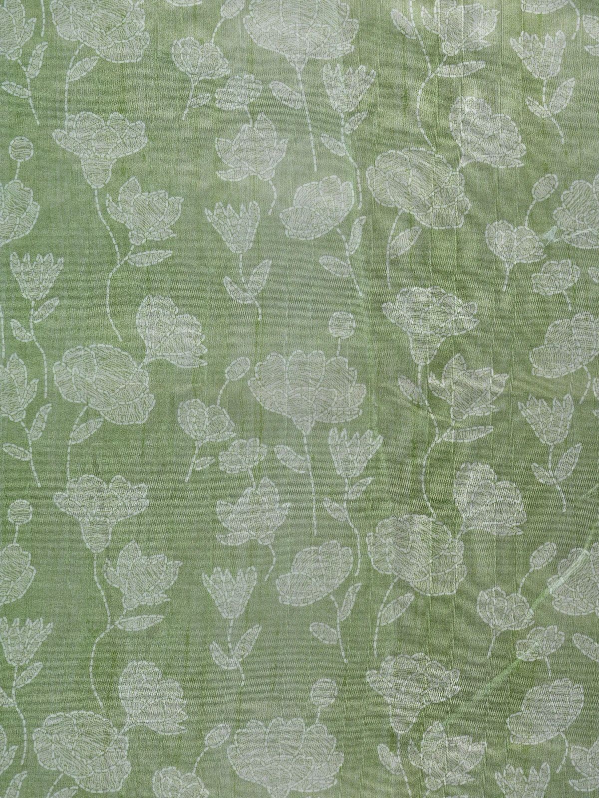 Sage green and white floral Dola silk saree with woven motifs and zari border