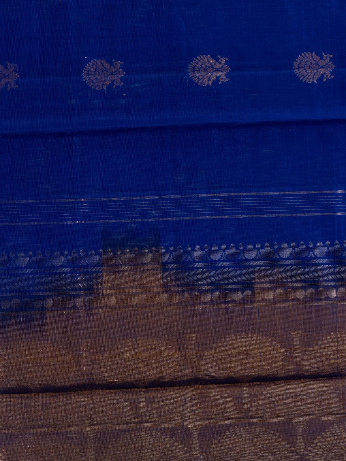 Royal blue pure silk cotton saree with copper-gold zari peacock buttas and contrast border
