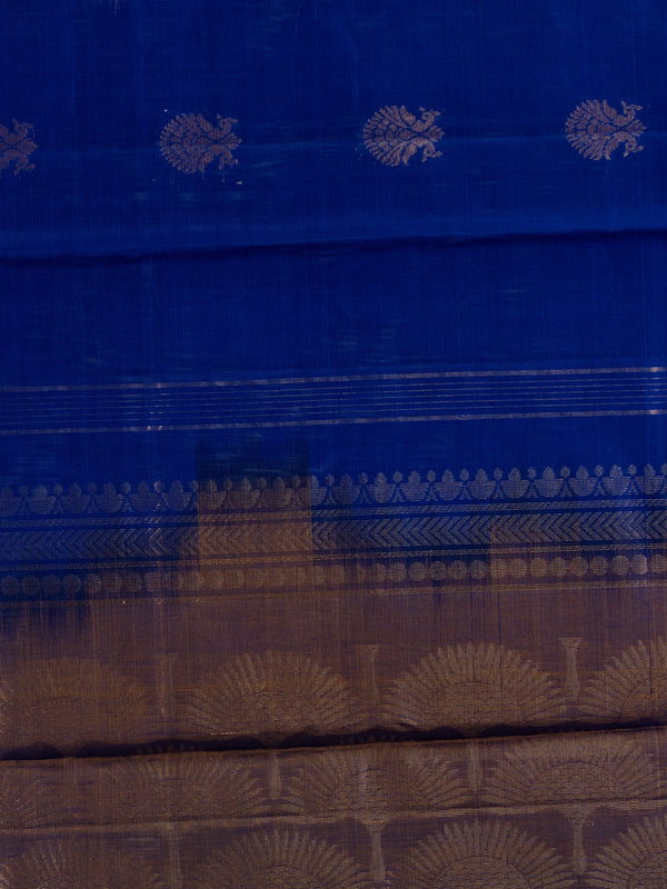 Royal blue pure silk cotton saree with copper-gold zari peacock buttas and contrast border