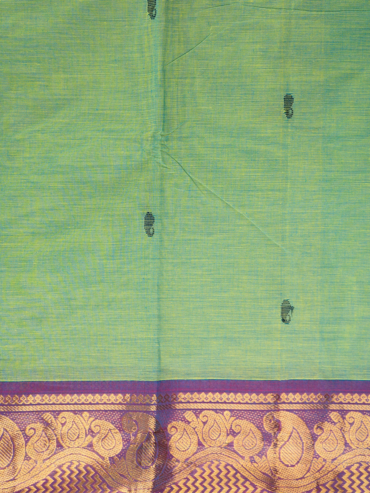 Green Chettinad cotton saree with contrast purple gold zari border and striped pallu