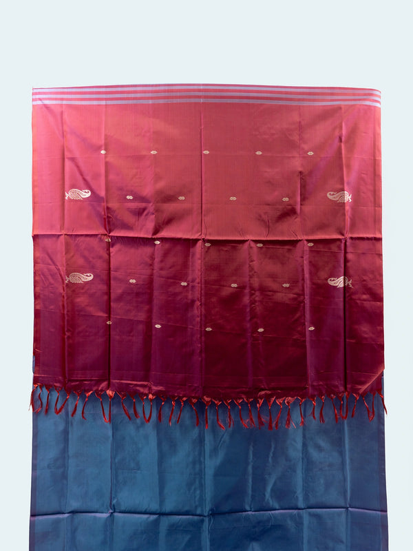 Blue and rani pink banana silk saree with gold zari paisley motifs and contrast pallu