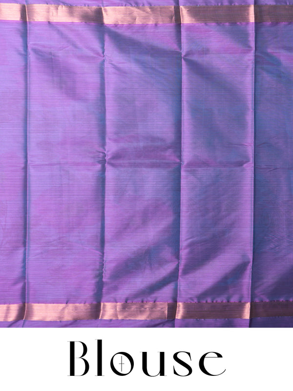 Sky Blue and Mauve Kanchipuram Fancy Silk Saree