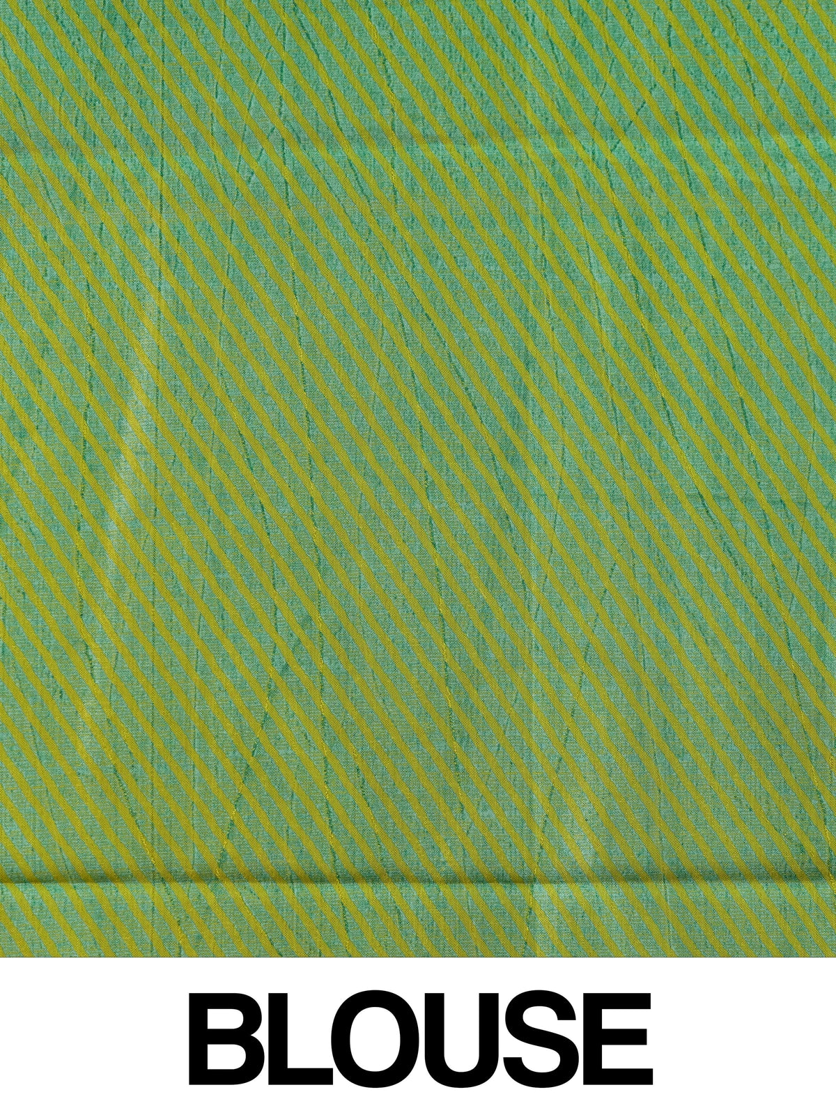 Lime green Dola silk saree with turquoise blue contrast border, silver zari and floral print