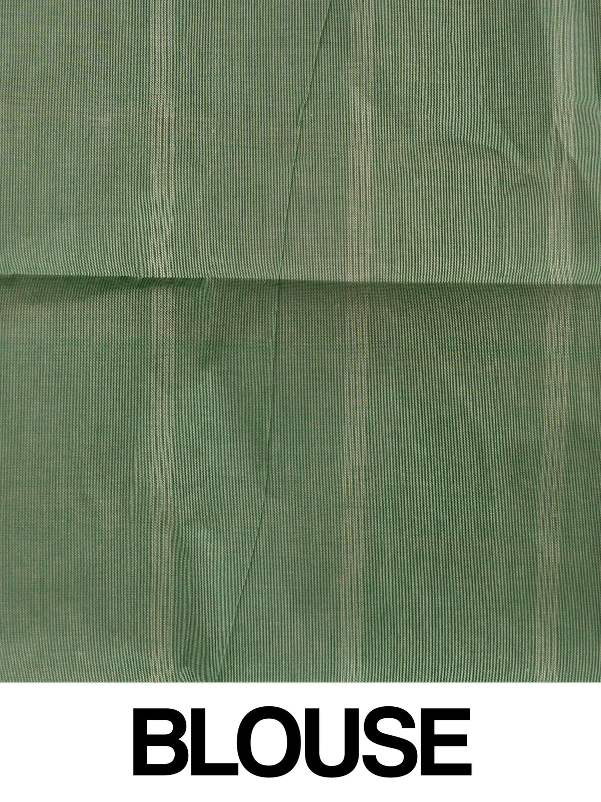Sage green and beige checked silk cotton saree with striped pallu and contrast cream blouse