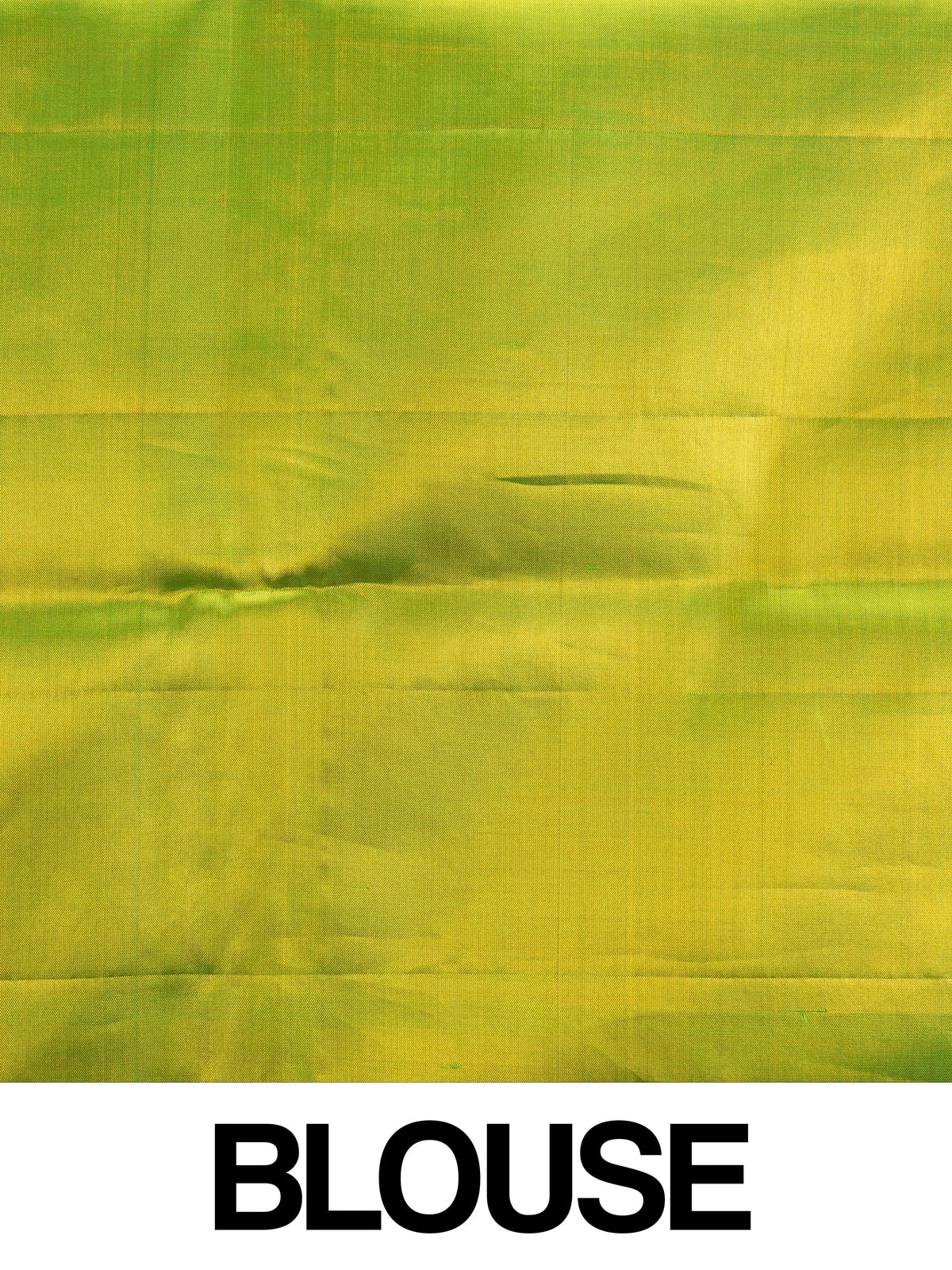 Parrot green and gold pure Kanchipuram silk saree with floral zari jaal and contrast green border