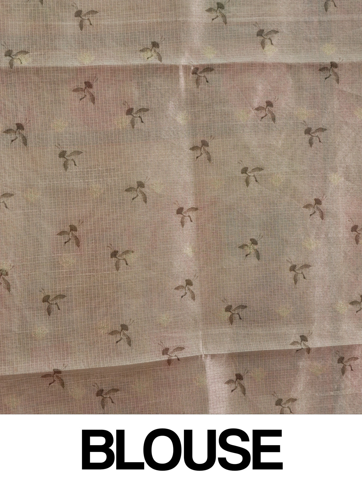 Cream semi tussar saree with multicolour Mughal-garden digital print, peacock and lotus motifs and floral border