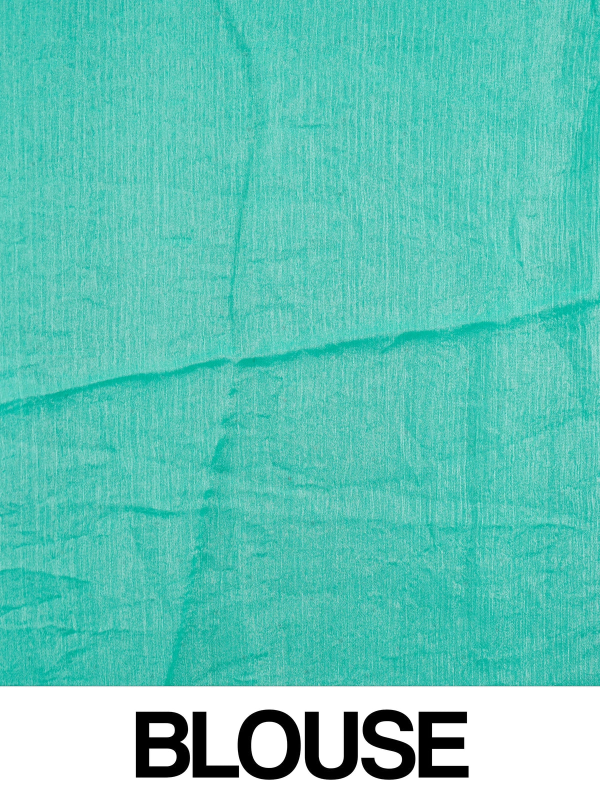 Sea green tissue designer saree with multicolour floral motifs and scalloped silver stone border